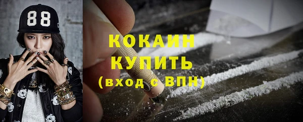 твердый Арсеньев