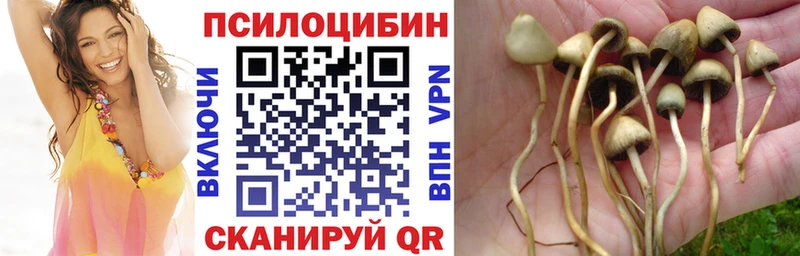 Псилоцибиновые грибы мухоморы  Купить закладки  Мариинский Посад 
